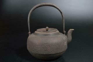 S9770: Japanese Old Iron Shapely TEA KETTLE Teapot Tetsubin Animal Tea Ceremony 4