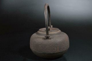 S9770: Japanese Old Iron Shapely TEA KETTLE Teapot Tetsubin Animal Tea Ceremony 5