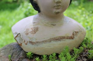 Antique Ludwig Grenier Papier Mache Shoulderhead Doll Head Girl Lady 8