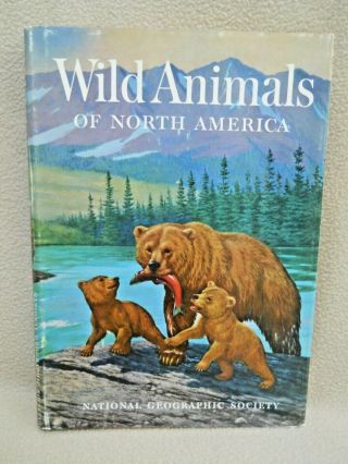 Vintage 1960 Wild Animals Of North America Book / National Geographic Society