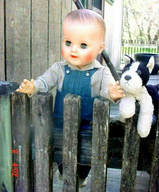 Vtg 1950 Large 19 Baby Boy Doll Molded Hair Big Vinyl Wets Great Color