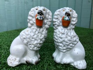 Pair: 19thc Staffordshire Poodle Dogs With Baskets In Mouths C1880s