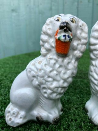 PAIR: 19thC STAFFORDSHIRE POODLE DOGS WITH BASKETS IN MOUTHS c1880s 3