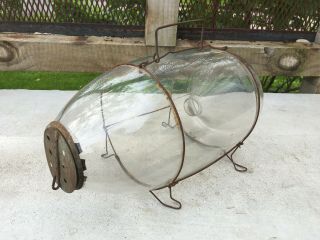 Large Vintage Orvis? Glass Minnow Funnel Trap Antique Fishing Gear Bait Catcher