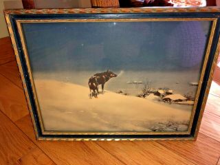 Authentic Vintage Kowalski Print Of The Lone Wolf,  Antique Wood Frame