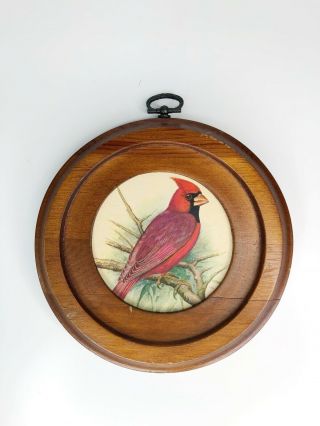 Vintage Round Framed Cardinal Bird Print Picture Wall Hanging 6”