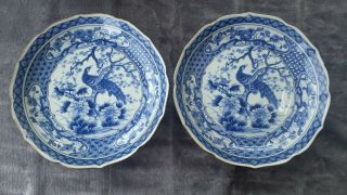 Pair Matching Peacock Large Chinese/japanese? Plates.  Blue & White.  W 25.  5cm.