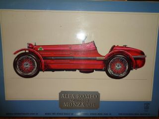 Made In Italy Alfa Romeo Monza 1931 Pocher Torino 1/8 Scale Extremely Detailed