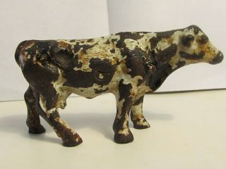 Antique Cow Cast Iron Bank / A.  C.  Williams,  Hubley ?