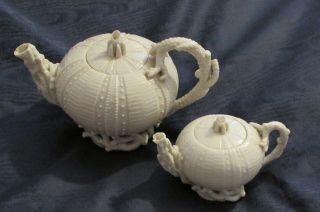 Two Rare Antique Irish Belleek Porcelain Echinus 1st Period Black Mark Tea Pots