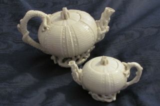 Two Rare Antique Irish Belleek porcelain echinus 1st Period black mark tea pots 2