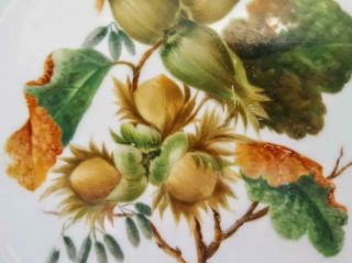 Antique Royal Copenhagen Flora Danica 8.  5 ' Fruit Dessert / Salad Plate c1880 2 4