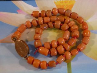 ANTIQUE NATURAL RED INDO TIBETAN [ INDO NEPALI ] CORAL STRAND 315 MM WITH CLASP 2