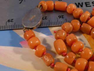 ANTIQUE NATURAL RED INDO TIBETAN [ INDO NEPALI ] CORAL STRAND 315 MM WITH CLASP 3