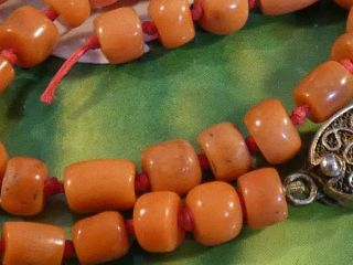 ANTIQUE NATURAL RED INDO TIBETAN [ INDO NEPALI ] CORAL STRAND 315 MM WITH CLASP 7