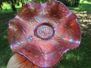 Fenton WATER LILY ANTIQUE CARNIVAL ART GLASS FTD RUFFLED SAUCE RED EXCEPTIONAL 8