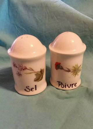 Collectible Antique Wild Flowers Louis Lourioux Salt & Pepper Shakers Porcelain