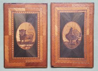Fine 17th Century Straw - Work Panels,  Depicting Lion And Rooster