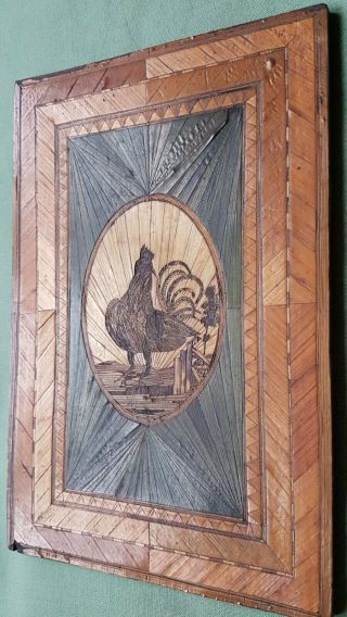 fine 17th century Straw - work panels,  depicting Lion and Rooster 3