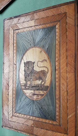 fine 17th century Straw - work panels,  depicting Lion and Rooster 4