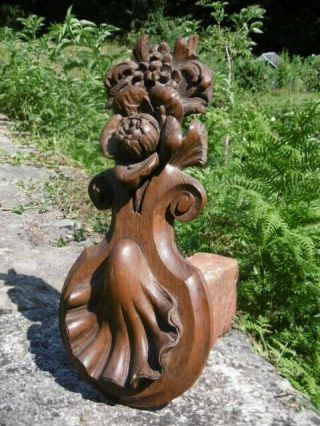 19thc Relief Oak Carving With Flowers & Large Scallop Shell