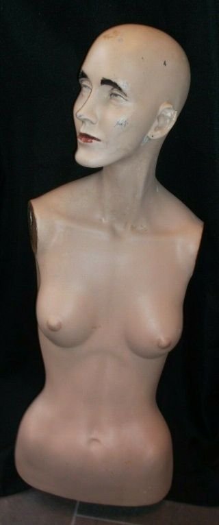 Vintage Female Body Torso & Head Dress Form Mannequin Signed Llr Nude Flesh Skin