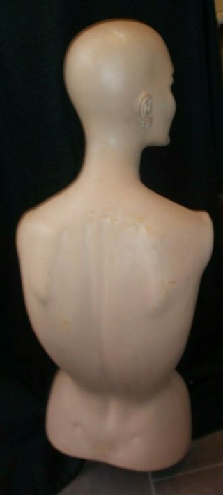 Vintage Female Body Torso & Head Dress Form Mannequin Signed LLR Nude Flesh Skin 2
