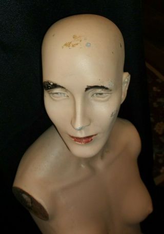 Vintage Female Body Torso & Head Dress Form Mannequin Signed LLR Nude Flesh Skin 4