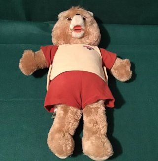 Vintage 1985 Teddy Ruxpin Worlds Of Wonder Animatronic Collectible Character Toy 4