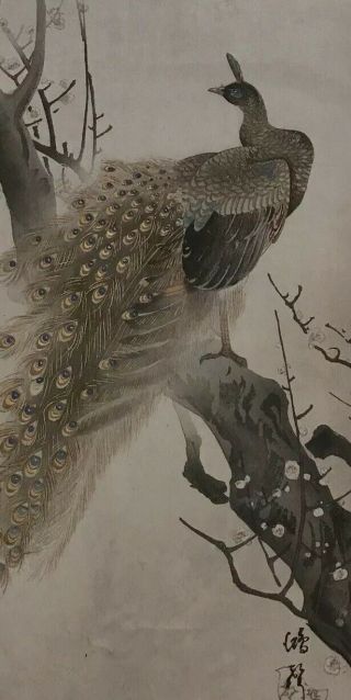 C.  1930 Kosei Japanese Woodblock Print Bird Peacock Ukiyoe Rare Gilt