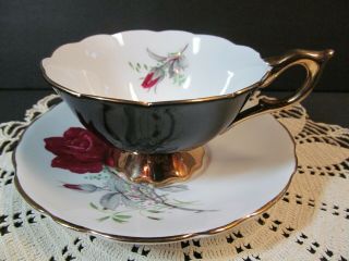 Royal Stafford Tea Cup Saucer Black With Red Blooming Floral Roses Teacup Gold