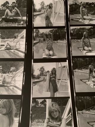 Vintage 8x10 Contact Sheet 50 - 70s Art Posed Youngnude Pool Play By Serge Jacques