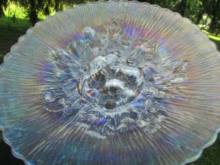 Northwood Poppy Show Antique Carnival Art Glass Plate White Gorgeous One