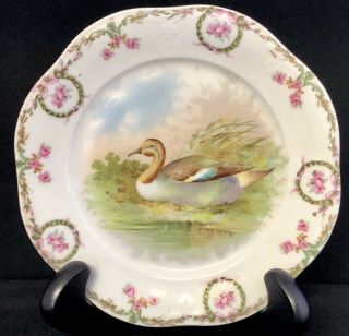 Antique Z S & Co Bavaria Zeh Scherzer Duck Porcelain 8 " Plate Rope Of Roses Rim