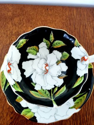 Paragon China White Rose On Black Double Warrant Cup & Saucer Gold Her Majesty