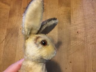 Antique Vintage Steiff Bunny Rabbit Manni 7” No Id Darling