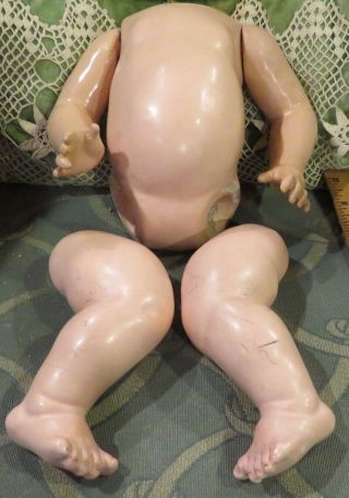 Antique Character Baby Body For German Bisque Doll Torso 7 "