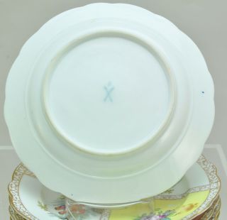 Set of 6 Antique Dresden HP Porcelain Courting Couples Plates circa 1890 8