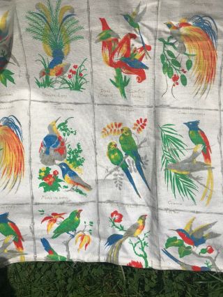 Vintage French Fabric,  Panel,  Large Piece,  Birds,  Marignan,  Meuble