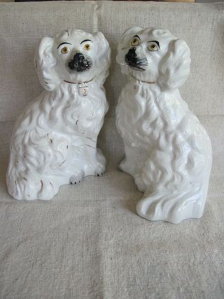 Antique White Spaniel Dogs Staffordshire Mantel Porcelain Unmarked 7 3/4