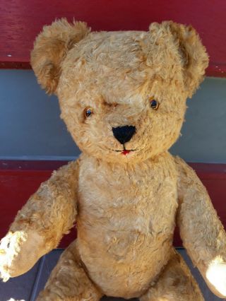 Vintage Jointed Chad Valley Squeaker Teddy Bear.  No Label Mohair Hugmee Toy ?