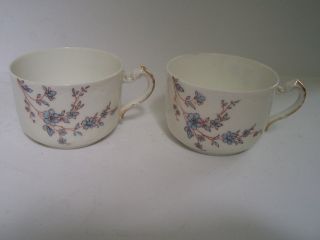 Antique Haviland Blue Floral Porcelain Coffee Tea Cups Set Of 2 Marks H And I