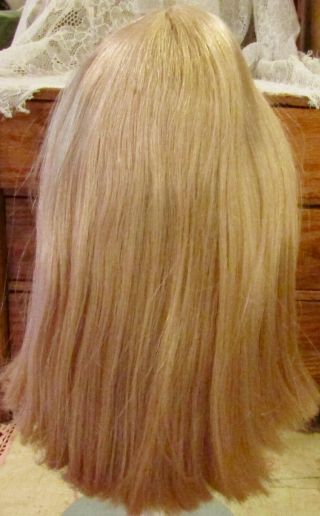 G227 Vintage French 12 - 13 " Human Hair Doll Wig For Antique Bisque Doll