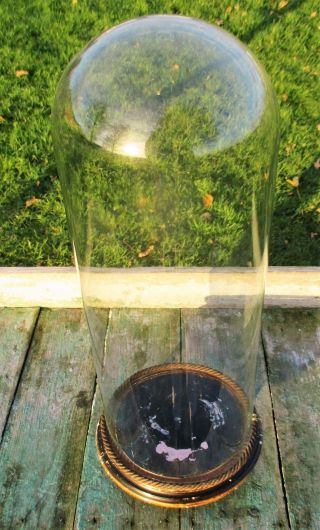 Antique Round Hand Blown Glass Dome Globe Steampunk Taxidermy Clock 19.  25 "