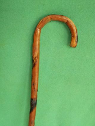 Carved Bentwood Walking Stick With Carved Twist