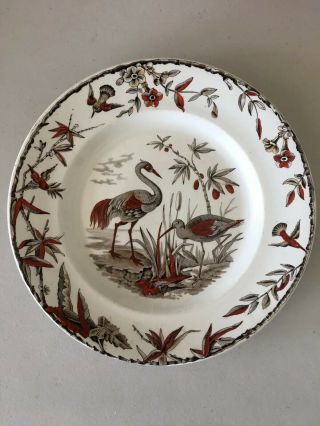 Indus Ridgways Brown Red Birds Flowers 1870’s China Antique Vintage Dinner 4