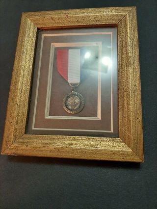 vintage award for excellence in history.  D.  A.  R rare and very hard to find framed 4