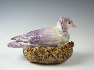 Antique Pearlware Glaze Staffordshire Figurine Pigeon On Nest Circa 1820
