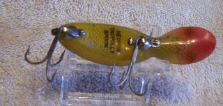 HEDDON TADPOLLY SPOOK LURE 01/30/18MW 3