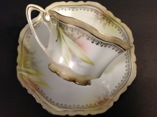 Antique R.  S.  Prussia Tea Cup And Saucer Hand Painted Scalloped With Gold Trim
